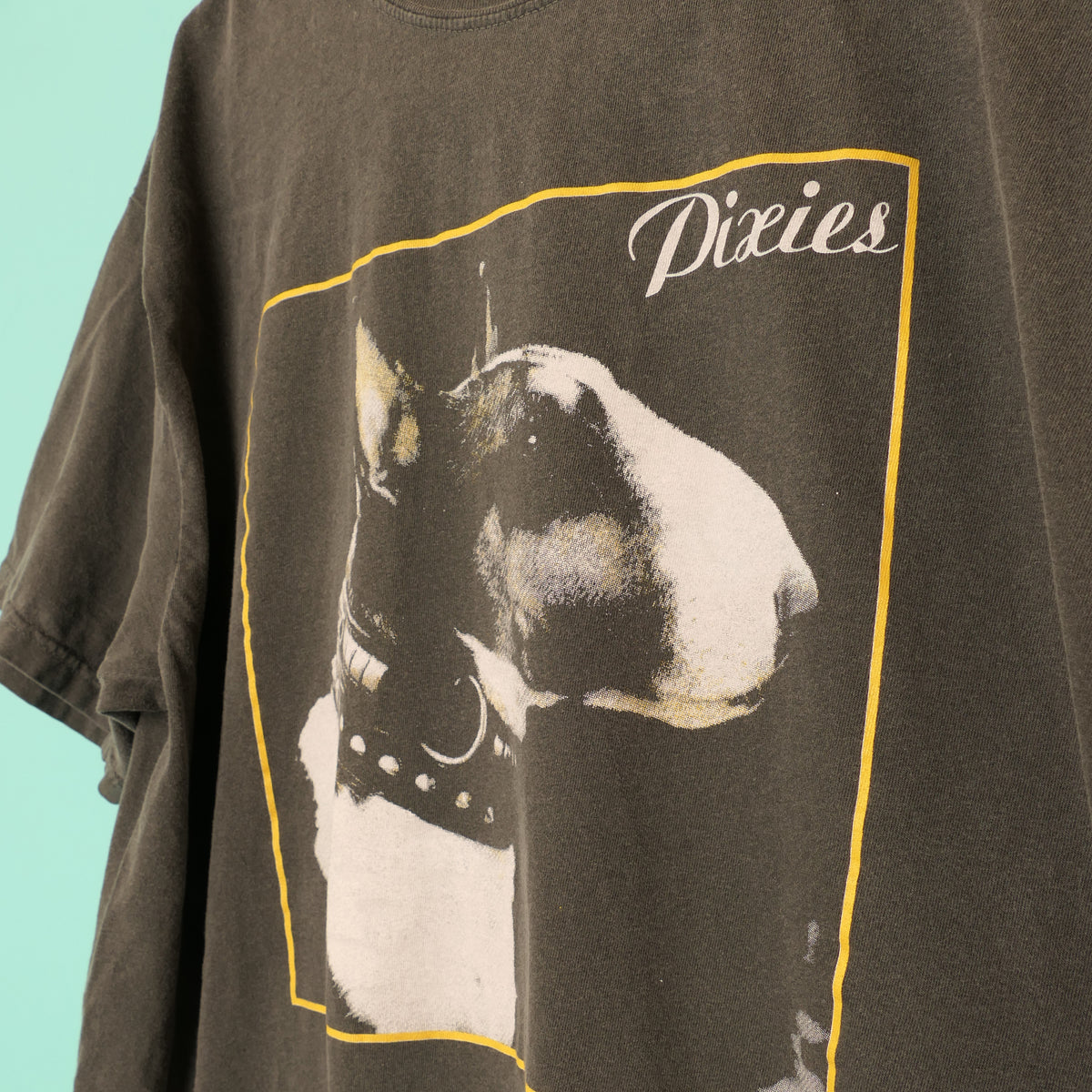 Pixies Here Comes Your Man Tee