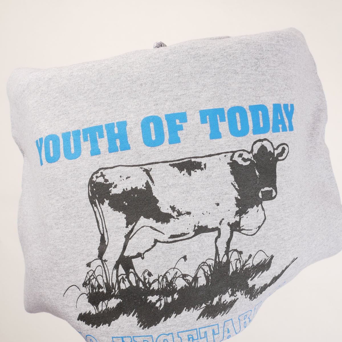 Youth of Today Hoodie