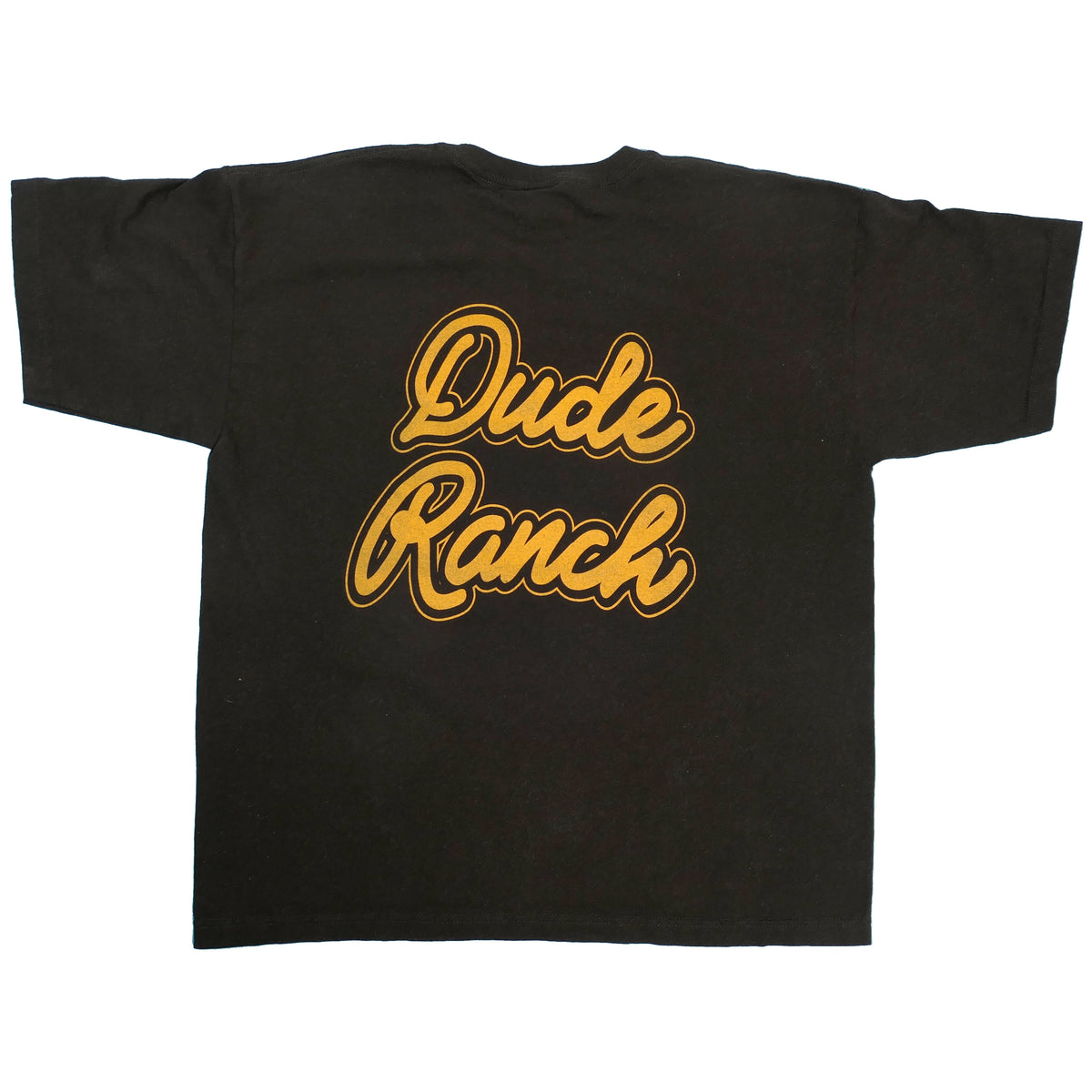 Blink 182 Dude Ranch Tee