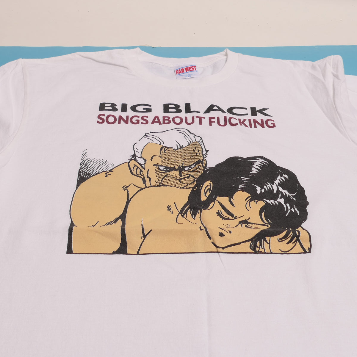 Big Black Songs About F***ing Tee - Public Laundry