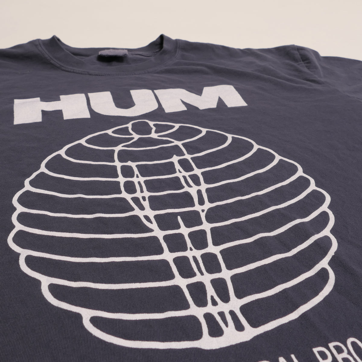 Hum Astral Projection Tee