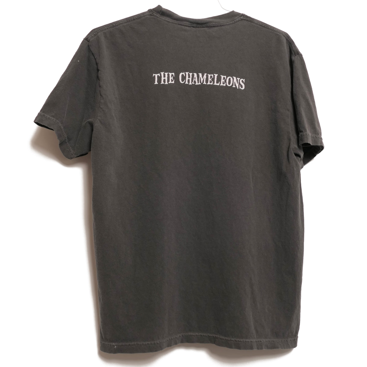 The Chameleons Tee