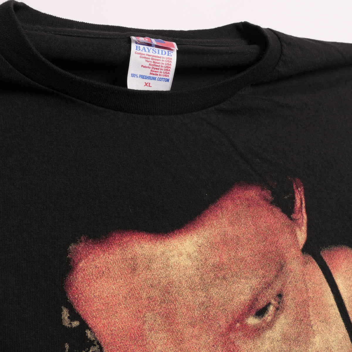 Deftones Around The Fur Tee