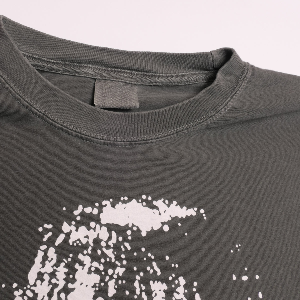The Chameleons Tee
