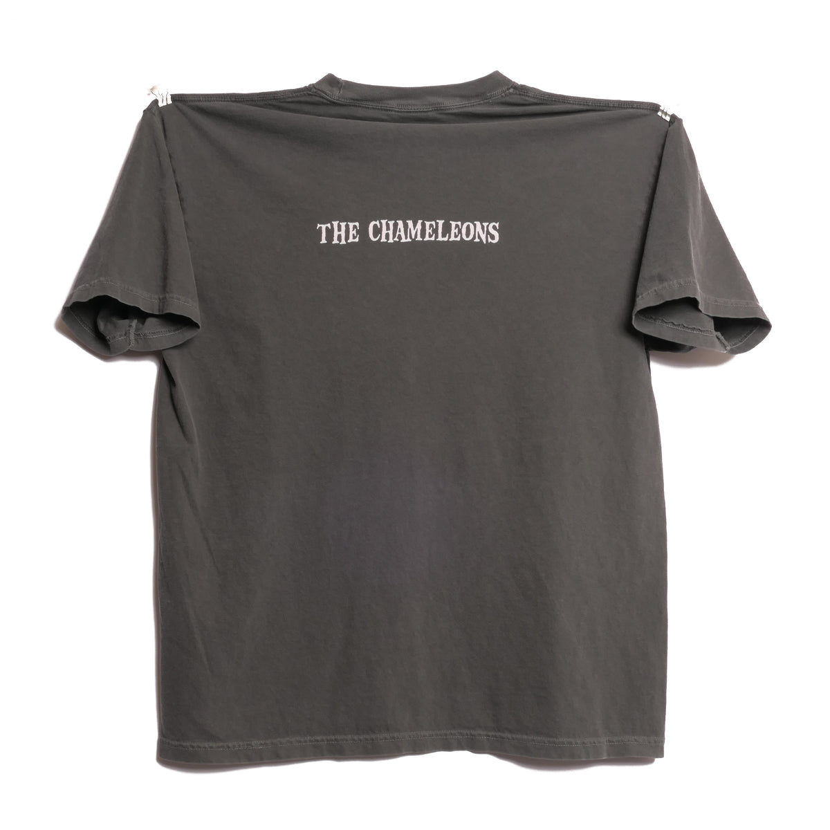 The Chameleons Tee