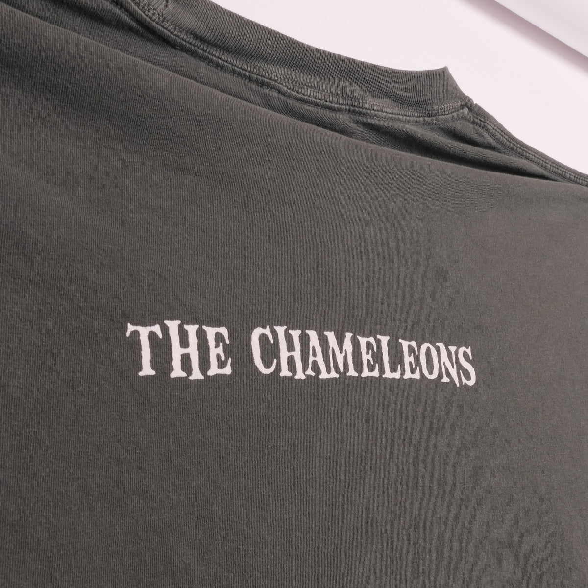 The Chameleons Tee