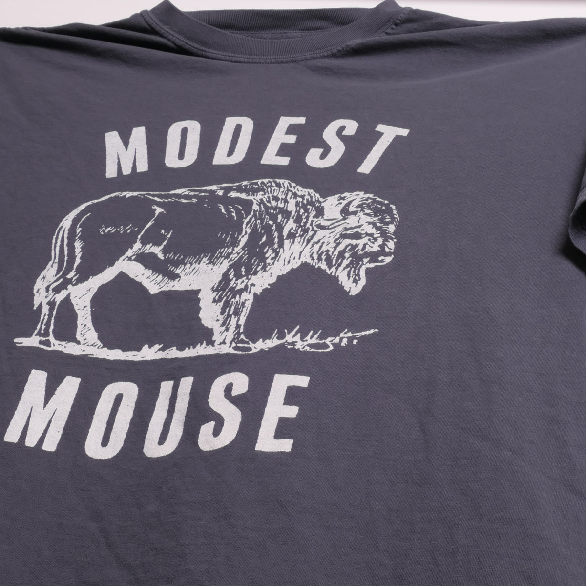 Modest Mouse Tee