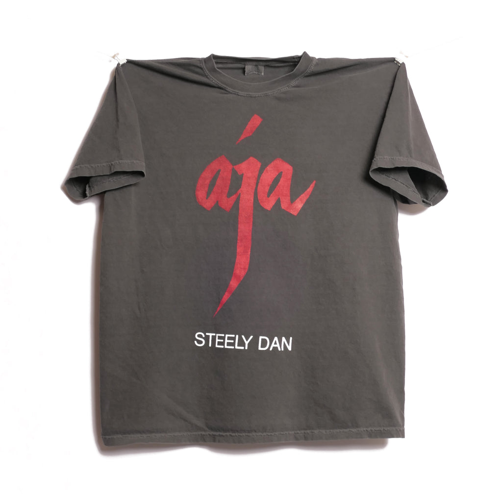 Steely Dan Aja Tee - Public Laundry