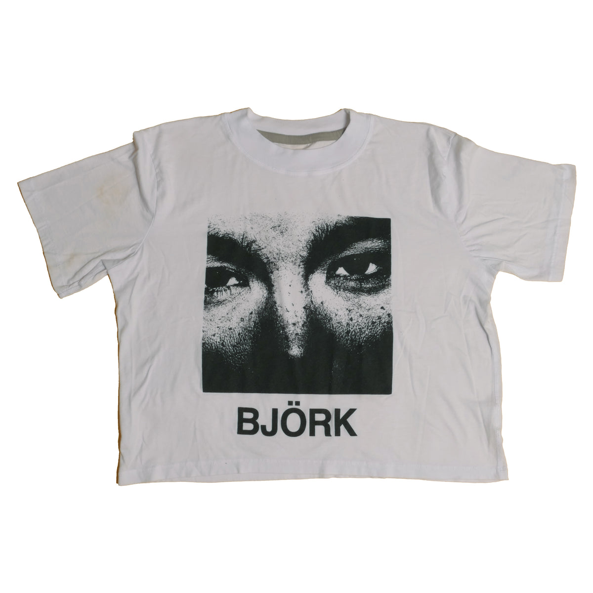 Bjork Debut Crop Tee