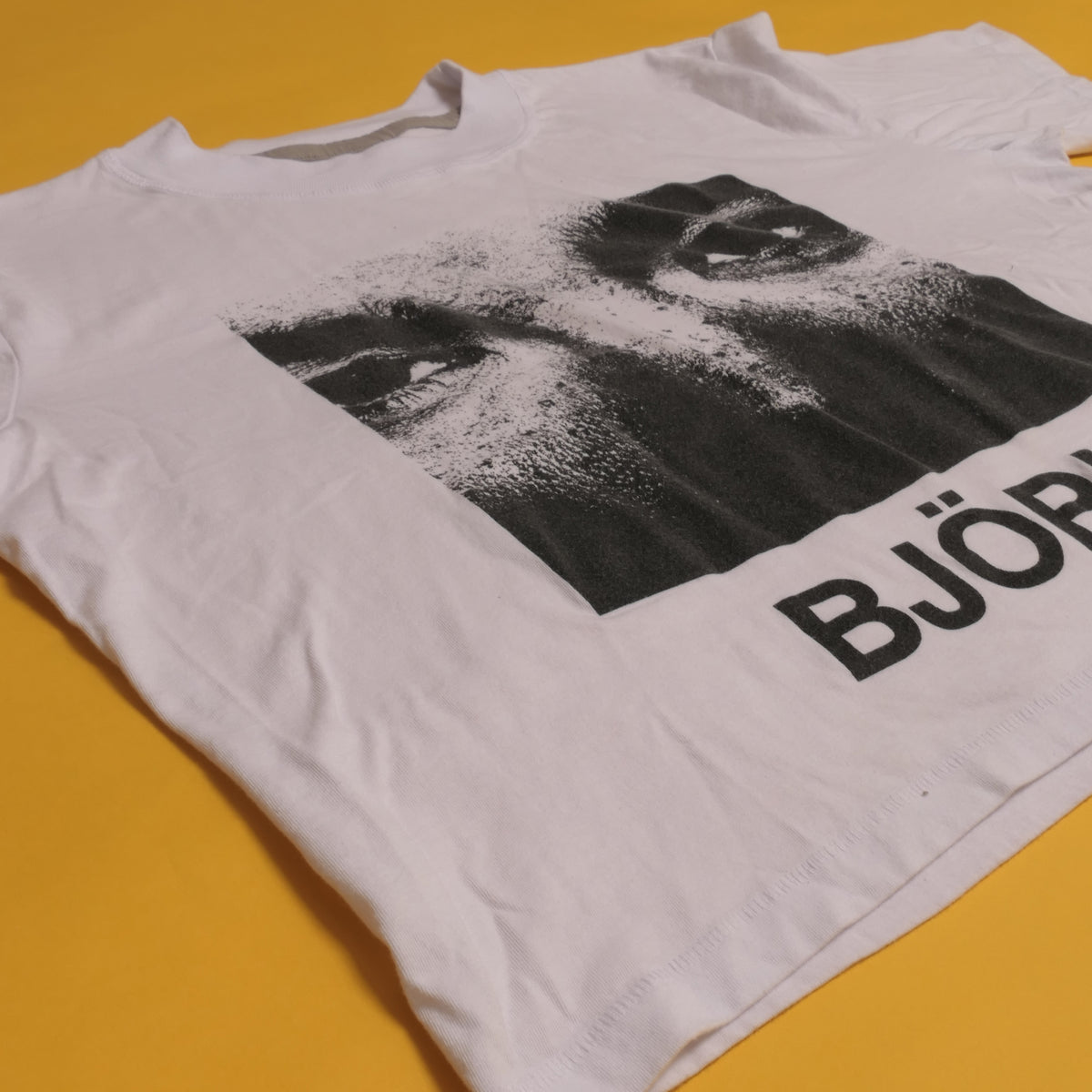 Bjork Debut Crop Tee
