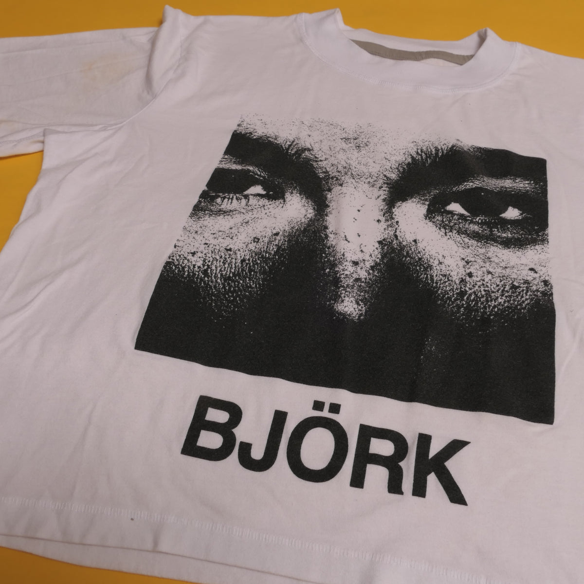 Bjork Debut Crop Tee