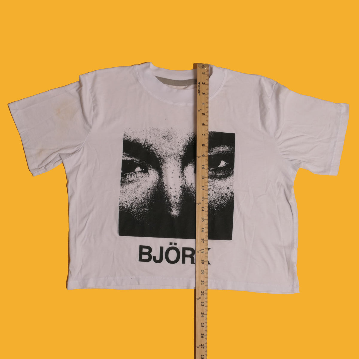 Bjork Debut Crop Tee