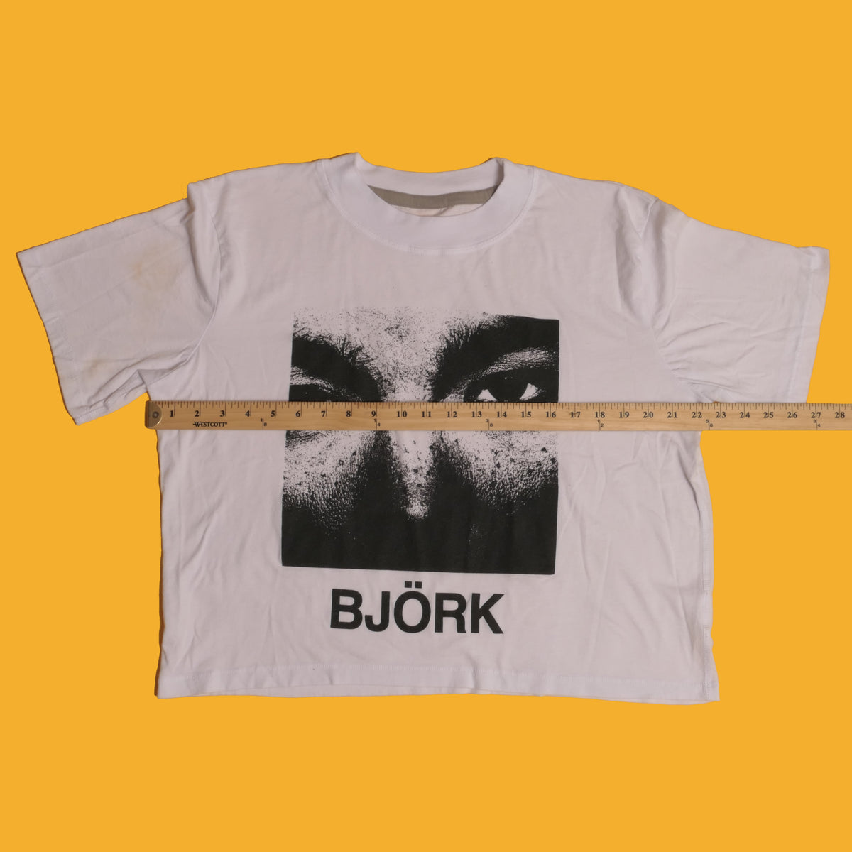 Bjork Debut Crop Tee