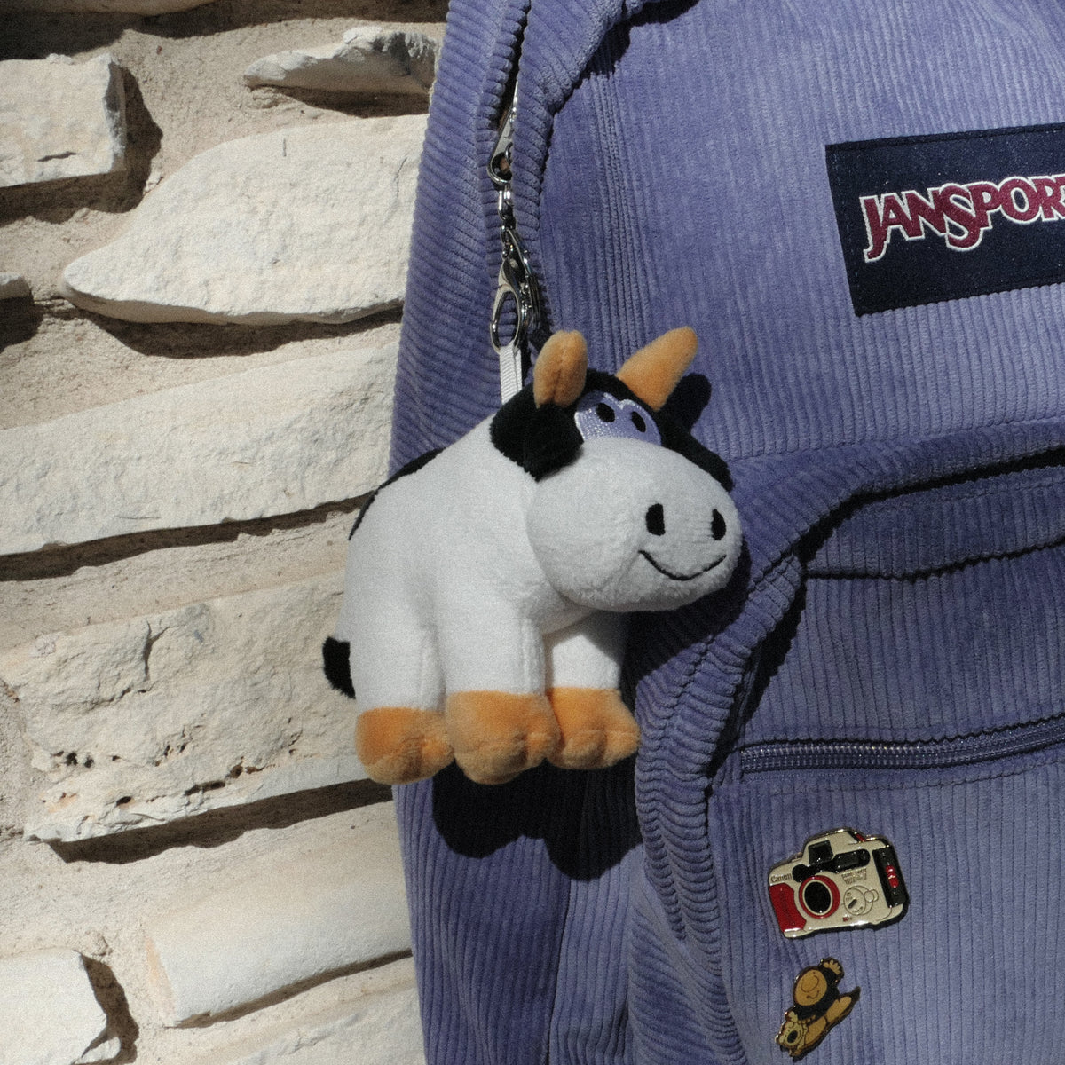 Dinosaur Jr. Keychain