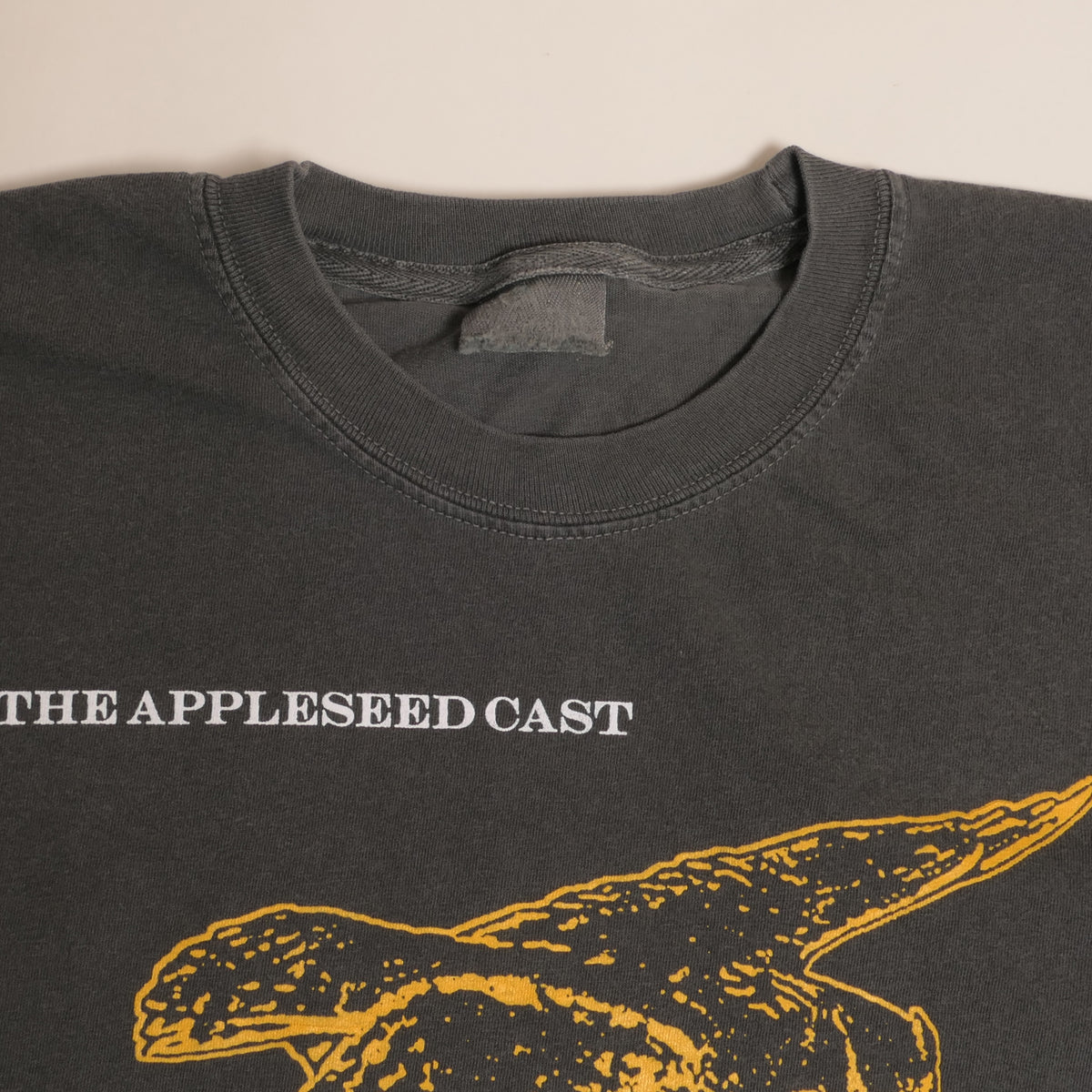 The Appleseed Cast Tee
