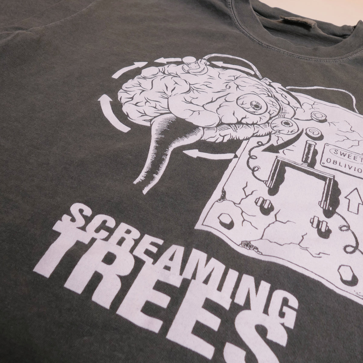 Screaming Trees Band